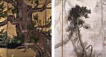 Cypress Tree and Pine Trees