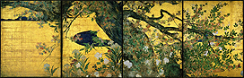 Maple Tree