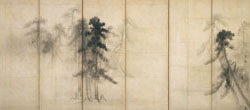 Pine Trees
