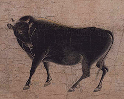 Fast Bull