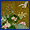 Lotus pond and waterfowl.