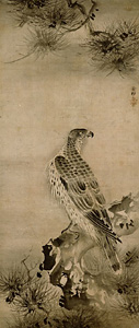 Hawks and pines.