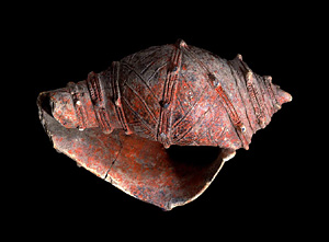 Shell shaped clay object.