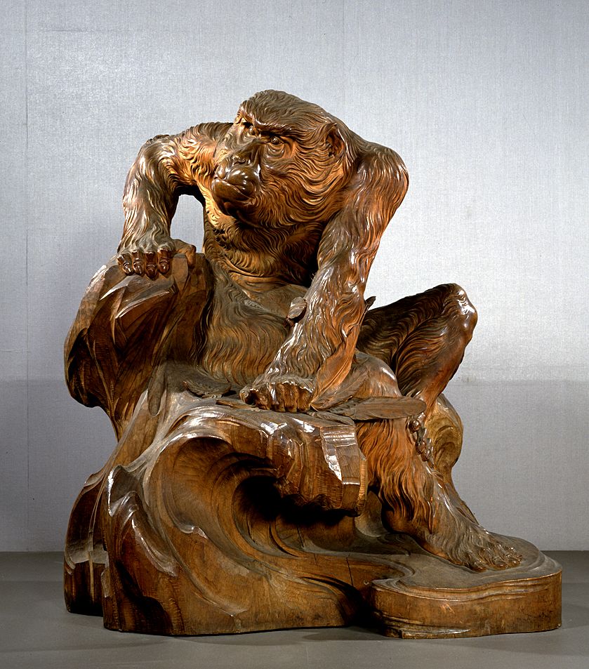 Aged monkey.