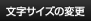 文字サイズの変更