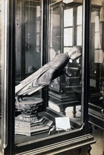 Exhibits after the quake