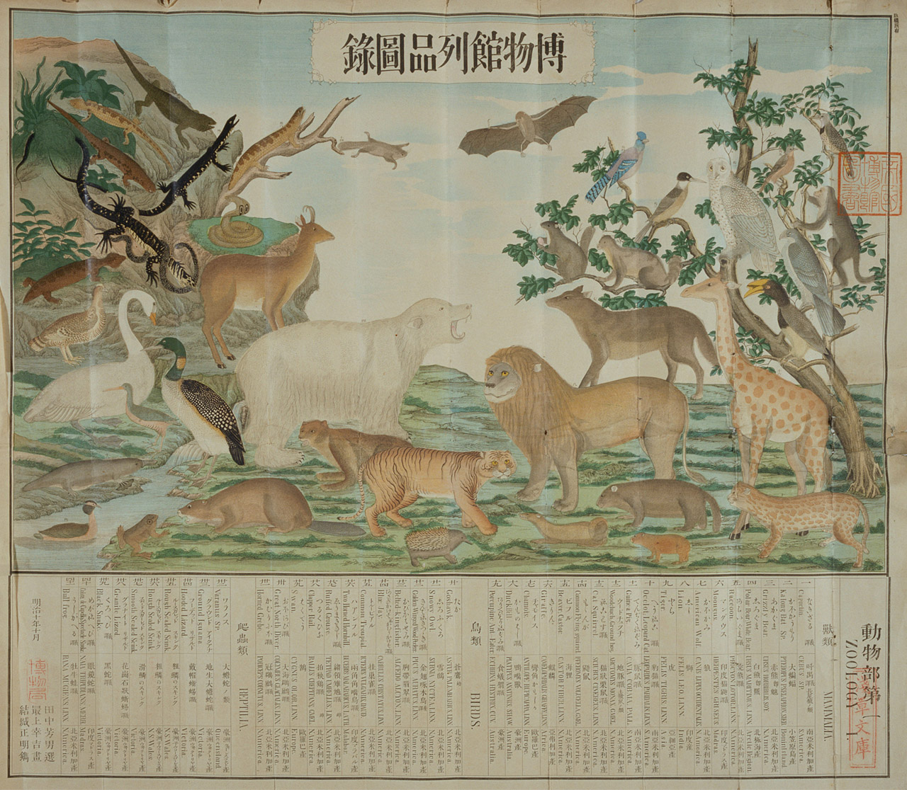 博物館列品図録 動物部 第一