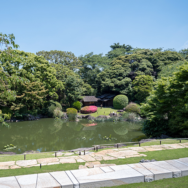 東京国立博物館 - 展示・催し物 年間スケジュール