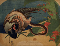 Pheasant and Snake