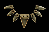 Shark-tooth necklace