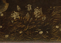 Naturalistic Observation of Plant Life(detail)