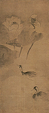 Water Birds in Lotus Pond
