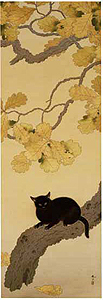 Black Cat