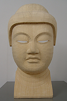 cross-sectional surface1