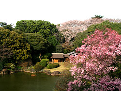 春の庭園