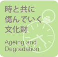 Ageing and Degradation