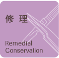 Remedial Conservation