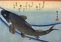 「魚づくし」 鯉(山庄版)