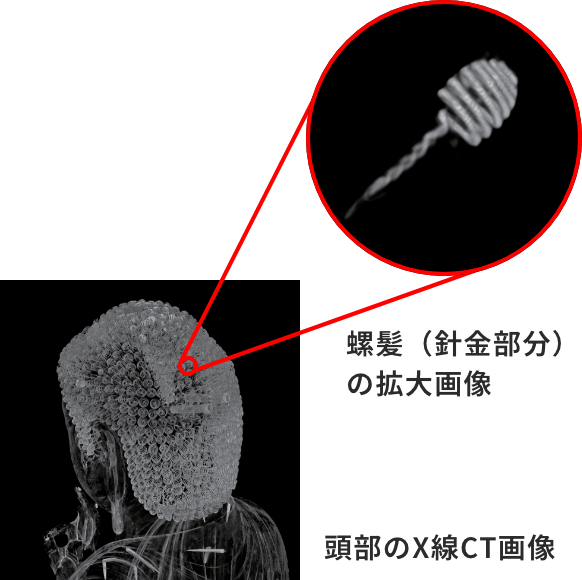 頭部のX線CT画像と螺髪（針金部分）の拡大画像