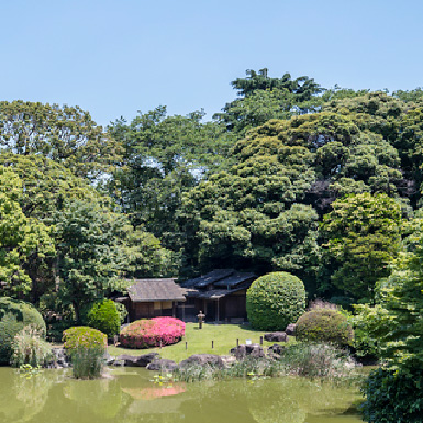 The Museum Garden and Teahouses