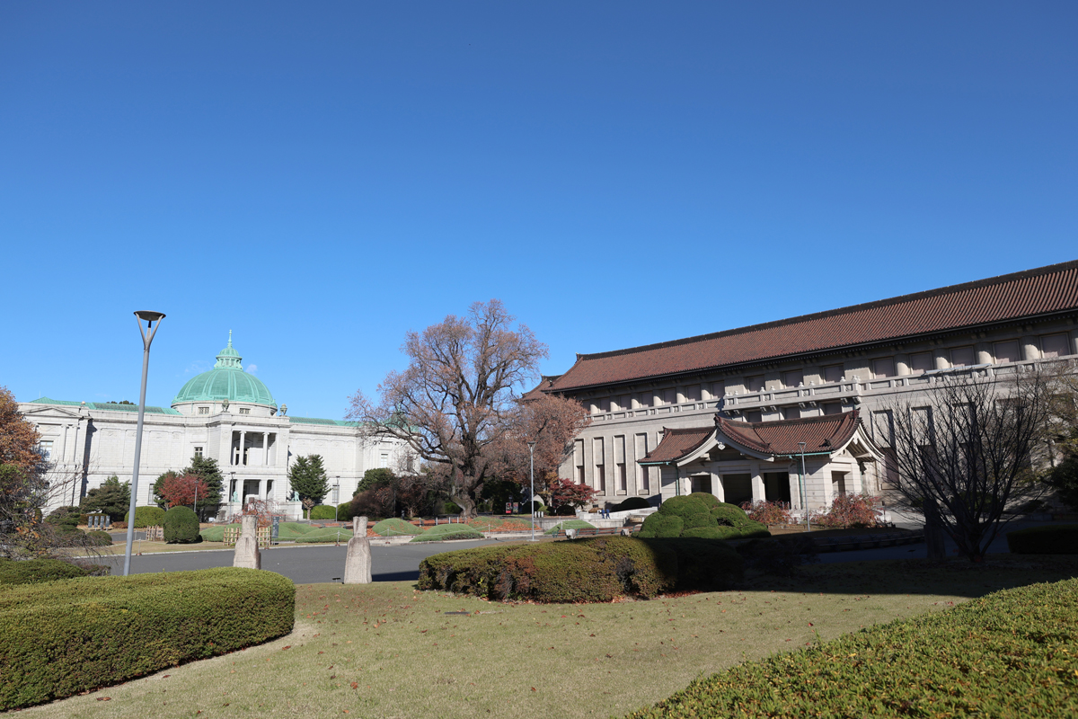 前庭からのぞむ表慶館と本館