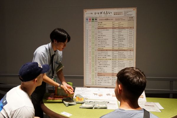 職場体験のイメージ画像1 東洋館で展示を案内する職場体験中の学生