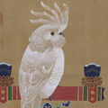 Cockatoo, Ito Jakuchu, Edo period, late 18th century, Museum of Fine Arts, Boston
