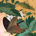 草虫　跡見花蹊筆　明治時代・明治5年(1872)