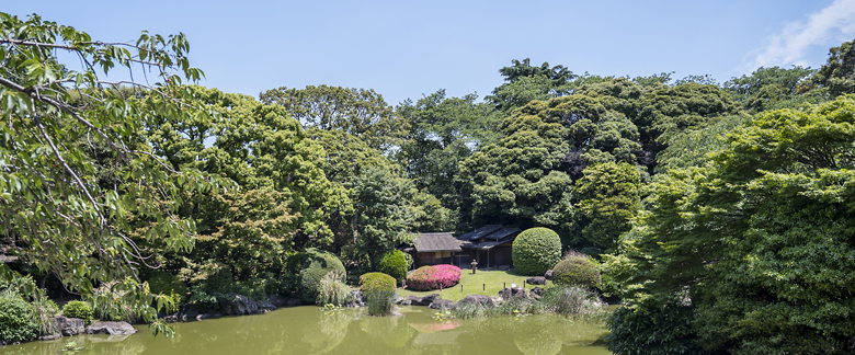 Museum Garden Summer