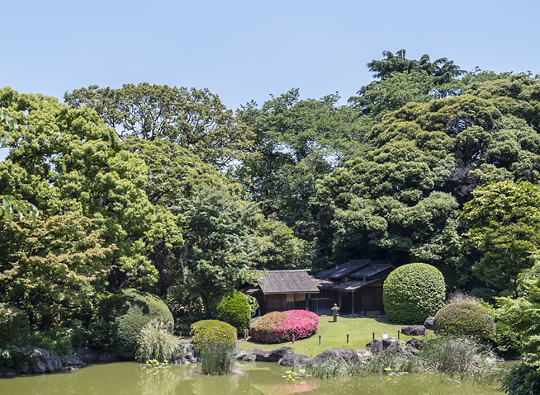 Museum Garden Summer