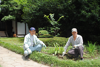 応挙館と九条館の間グリーンのライン