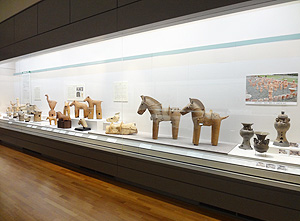 特集陳列　動物埴輪の世界 展示の様子