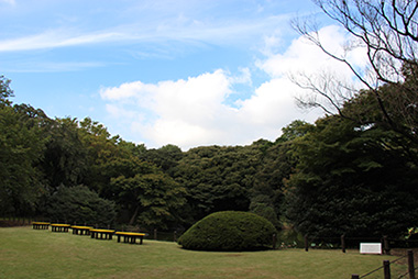 庭園風景