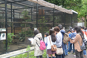 動物園