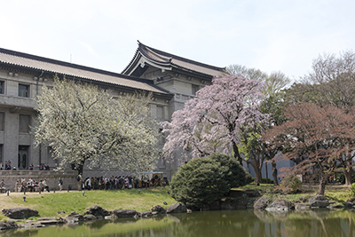 庭園より本館裏