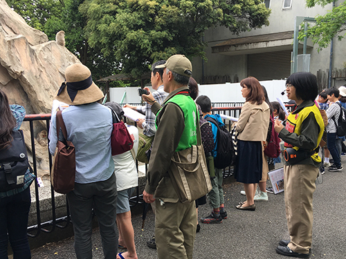  ニホンザルの観察中