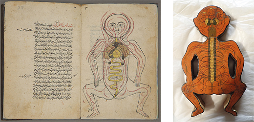 左：『マンスール解剖書』写本（No.99）, 右：解剖学用人形（No. 100）