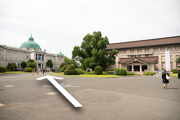 東京国立博物館の入口を入ったところの画像。表慶館側に向かいます。