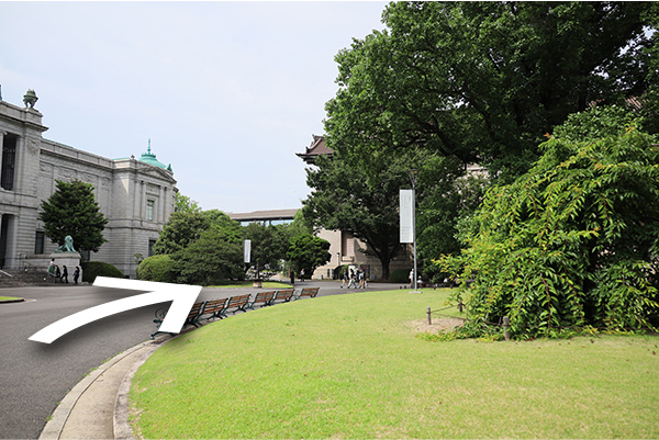 表慶館側の通路を道なりに進んでいる画像