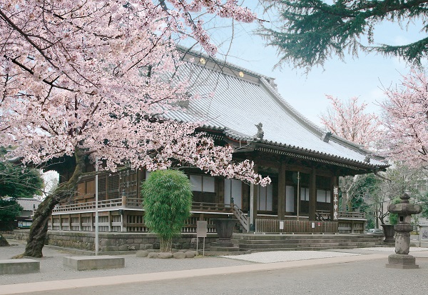 寛永寺　根本中堂