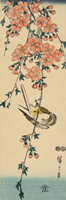 Drooping Cherry Tree with Bird