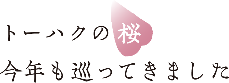 東京国立博物館 トーハク 東京国立博物館 トーハク
