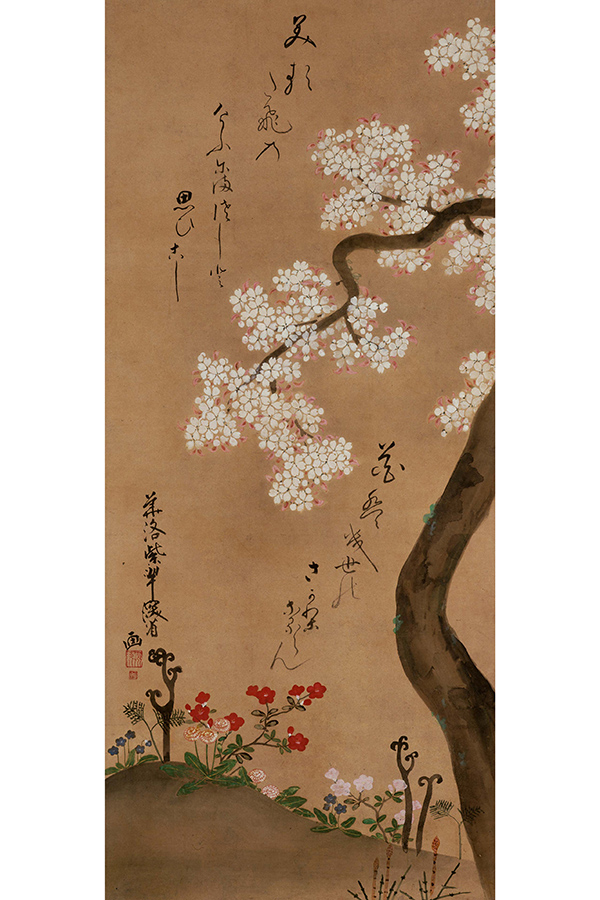 桜に春草図　作品画像