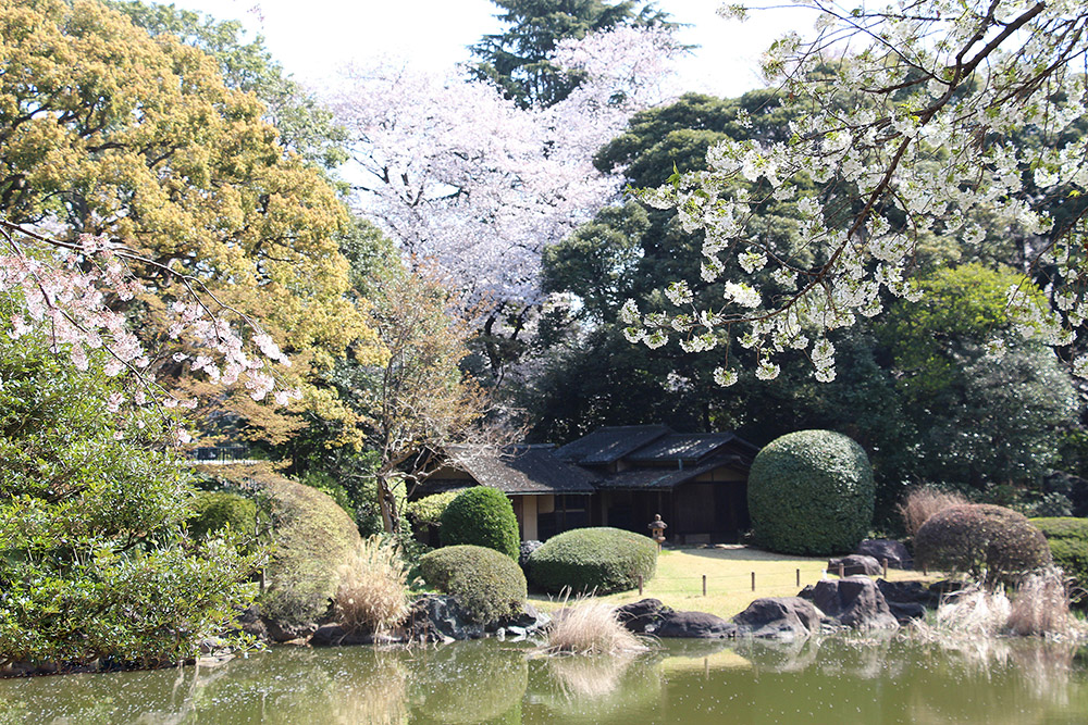 Museum Garden