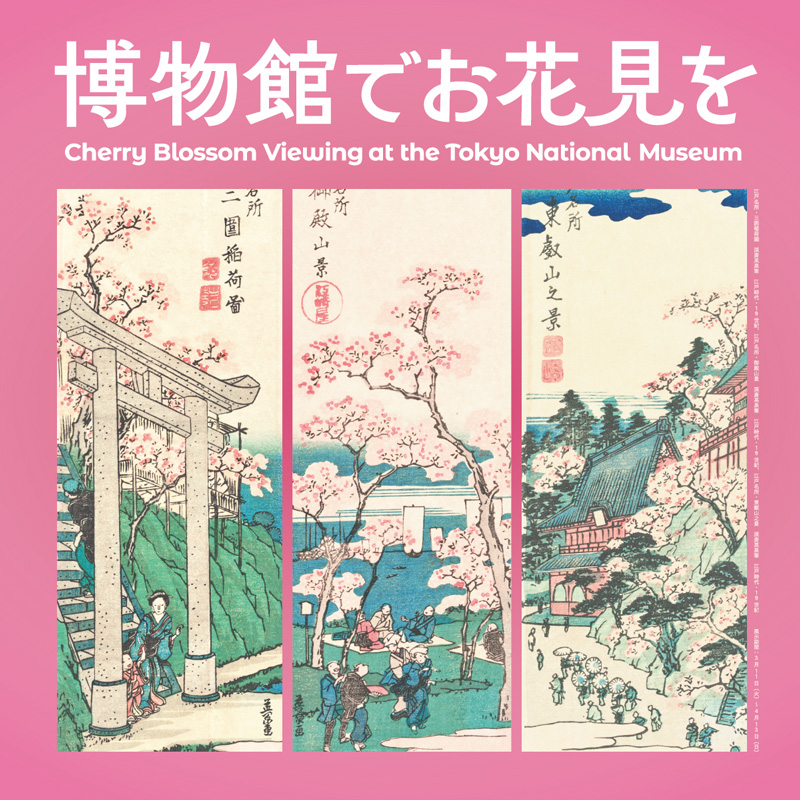 「博物館でお花見を」バナー。展示室でも、庭園でも、満開の桜が待っています。