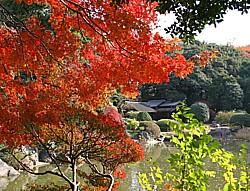 Museum Garden