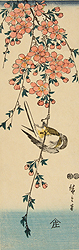 Drooping Cherry Tree with Bird