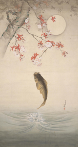 Carp under the cherry tree