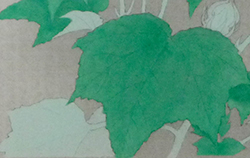 3. Coloring（Dye and Pigment）