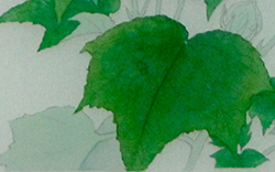 3. Coloring(Dye and Pigment)